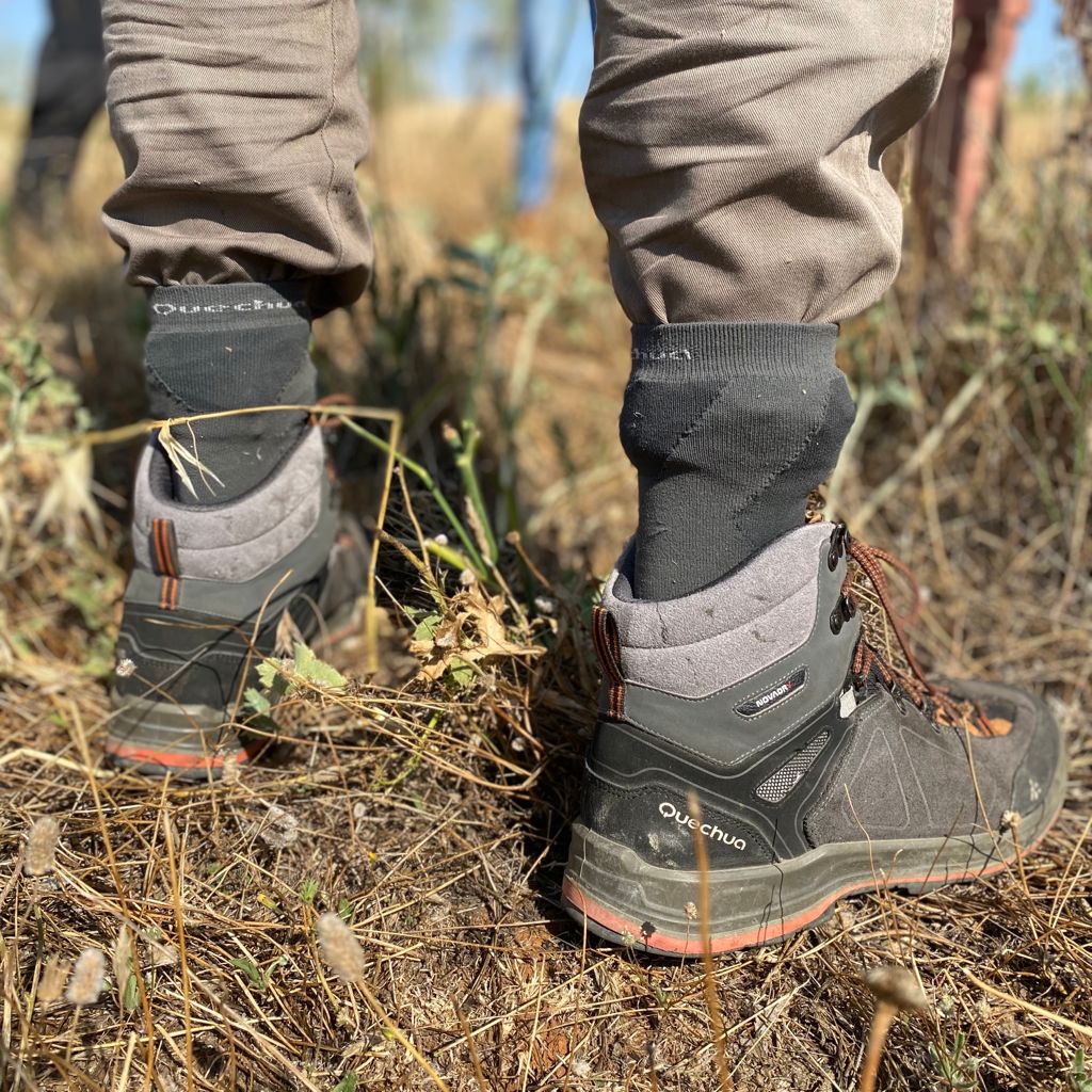 Jornada de riego con voluntarios en Meco