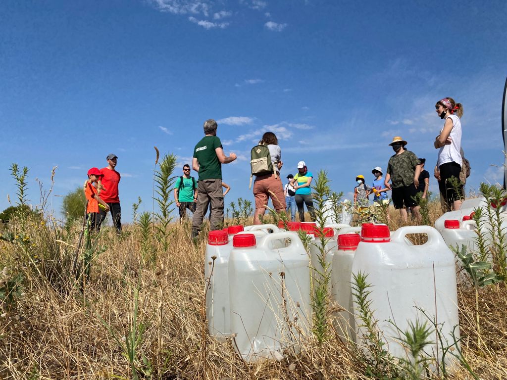 Jornada riego con voluntarios de Reforesta en Meco