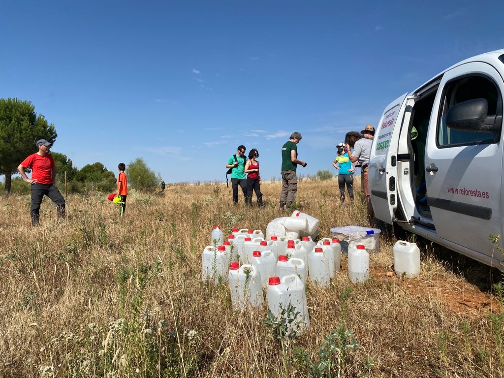 Jornada de riego con voluntarios en Meco