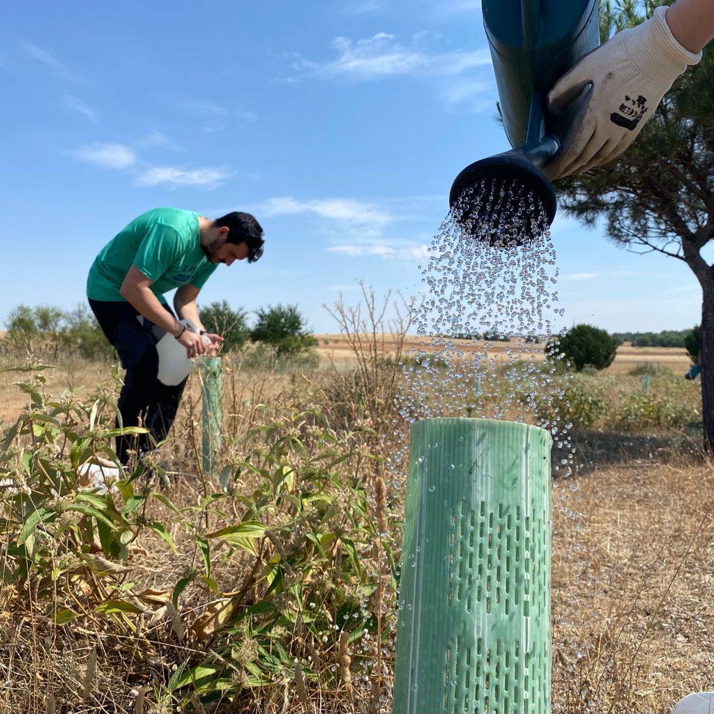 Jornada de riego con voluntarios en Meco