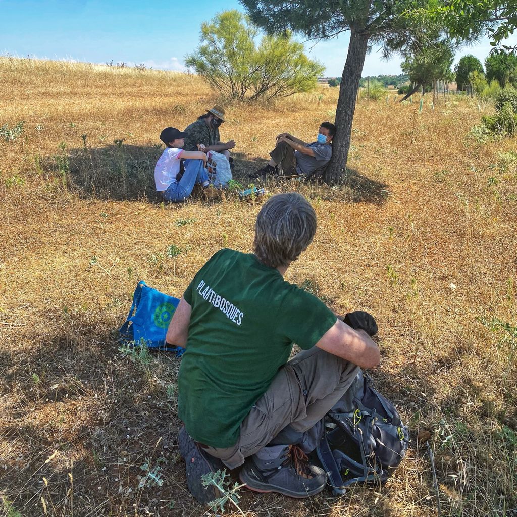 Jornada de riego con voluntarios en Meco