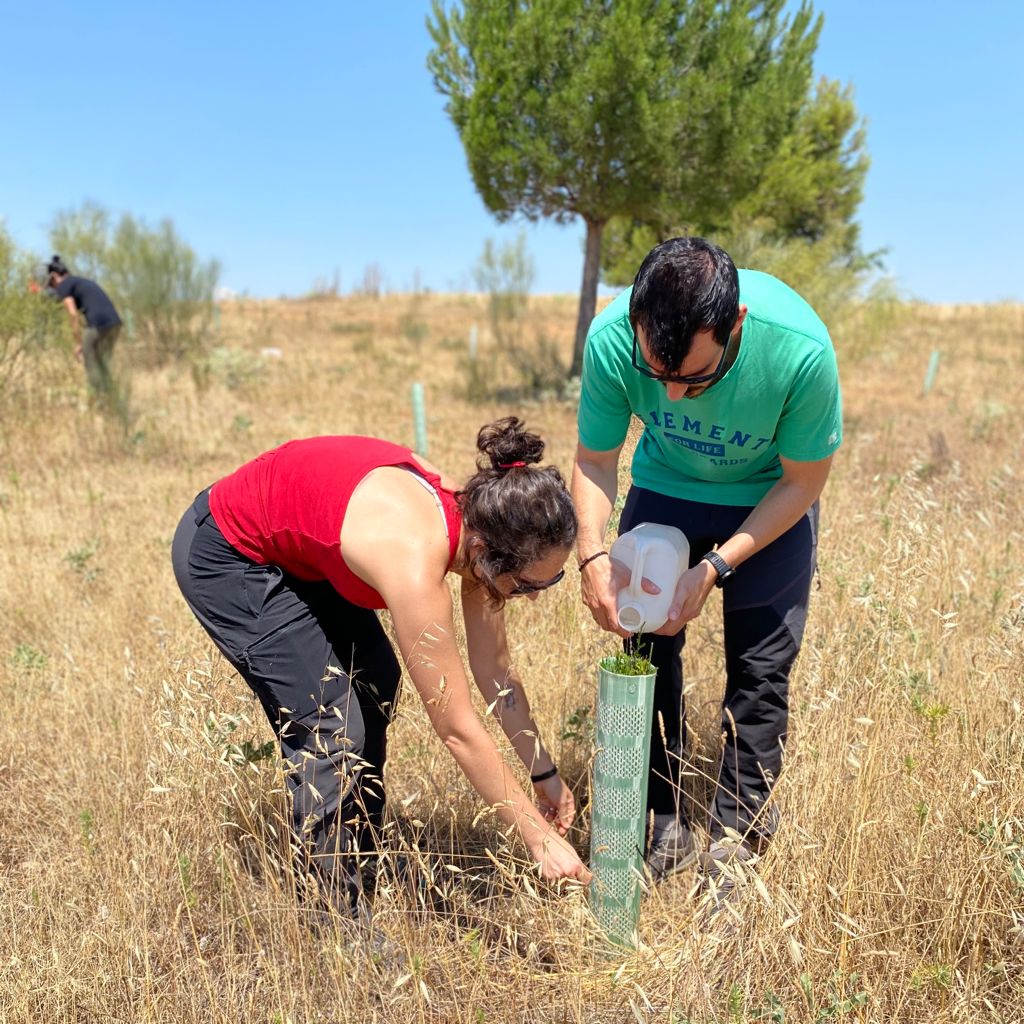 Jornada de riego con voluntarios en Meco