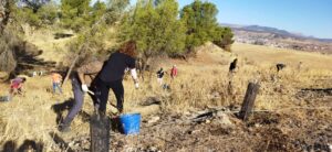 Jornada de voluntariado en Granada para colocación de mulching y riego en reforestación.