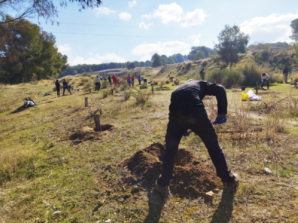 Jornada de voluntariado para reforestar en Granada
