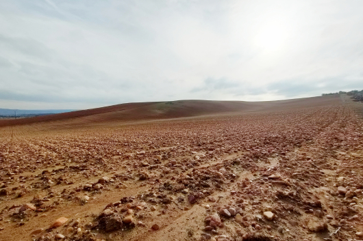 Gestión forestal y agricultura regenerativa, claves para reducir el impacto de las inundaciones