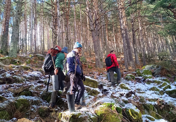 Voluntariado para plantar árboles con Reforesta