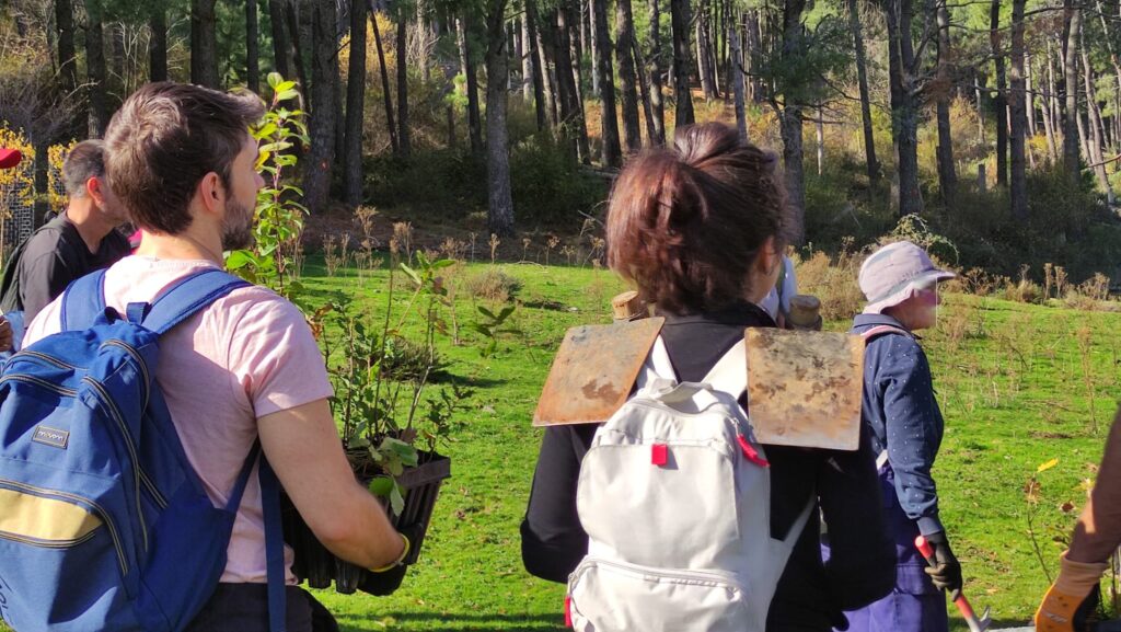 Voluntariado para la biodiversidad