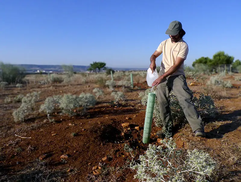 quienes somos reforesta