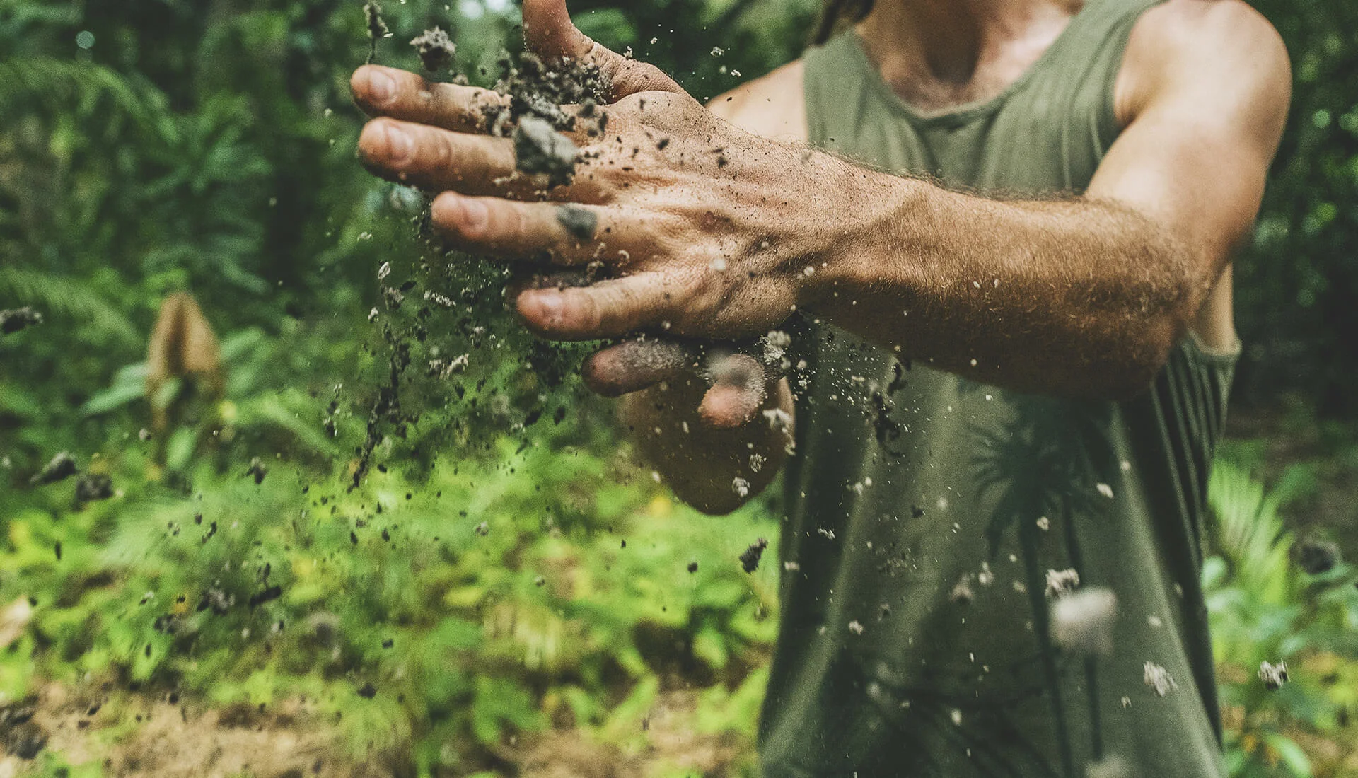 reforesta-ayuda